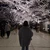 ao_chanm