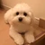 hiro