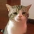 みーぬー