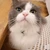 ねこまる