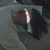 ｆｕｋｏ
