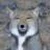 クセハラ