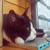 ウエサン