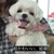 犬