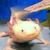 ベロニカ