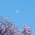 はちみつ