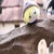 みーな