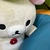 ワカ