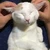 ひーちゃん