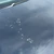 たくみ