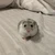 Mimi