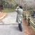 てけし