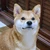 なかやま