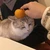 まる