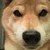 KazumiTakeuchi