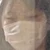 ぶたいりゅう
