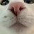 は