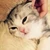 あやか