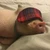 ぺろ吉
