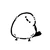 うずら