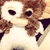 Norie