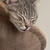 るるるるるるるん