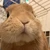 すんなり