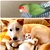 やっこ