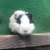 たくや
