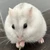ころもち