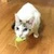 りんたろう