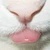lxlls2