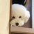 Nosuke0256