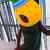うこうこ