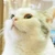 とーじ