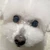 ぐみ