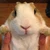 ぺち