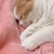 いづみ