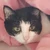 みー