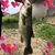 田邉りくと