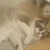 ジェンおじぇ