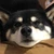 わかめちゃん