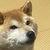 ちか