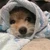 ゆにゆに