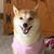 Ryo