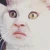 ころ