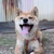 コムアイ