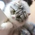 うさ