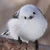 芋けんぴ