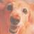 ゆずぶう